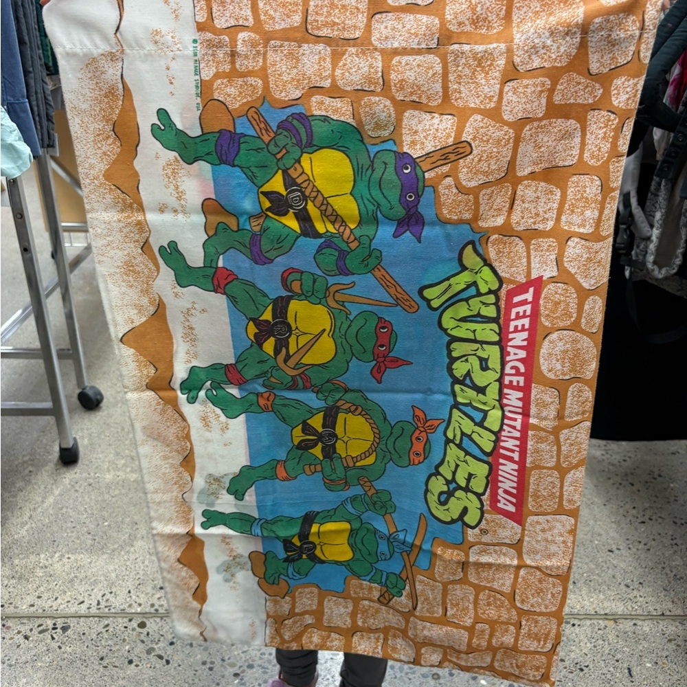 1988 Vintage Teenage Mutant Ninja Turtles Pillow Case
